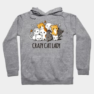 Crazy Cat Lady Quote - Cat Lover Funny Quote Hoodie